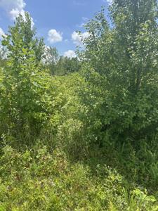 Lot E Meadow Drive