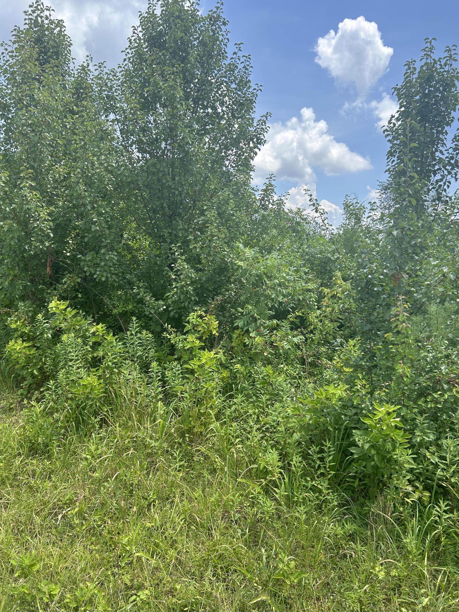 Image 2: unnamed (2)