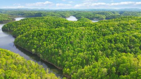 Lot 90 Sandstone Point Trail