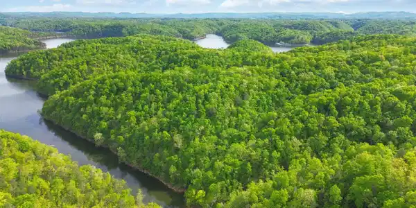 Lot 90 Sandstone Point Trail