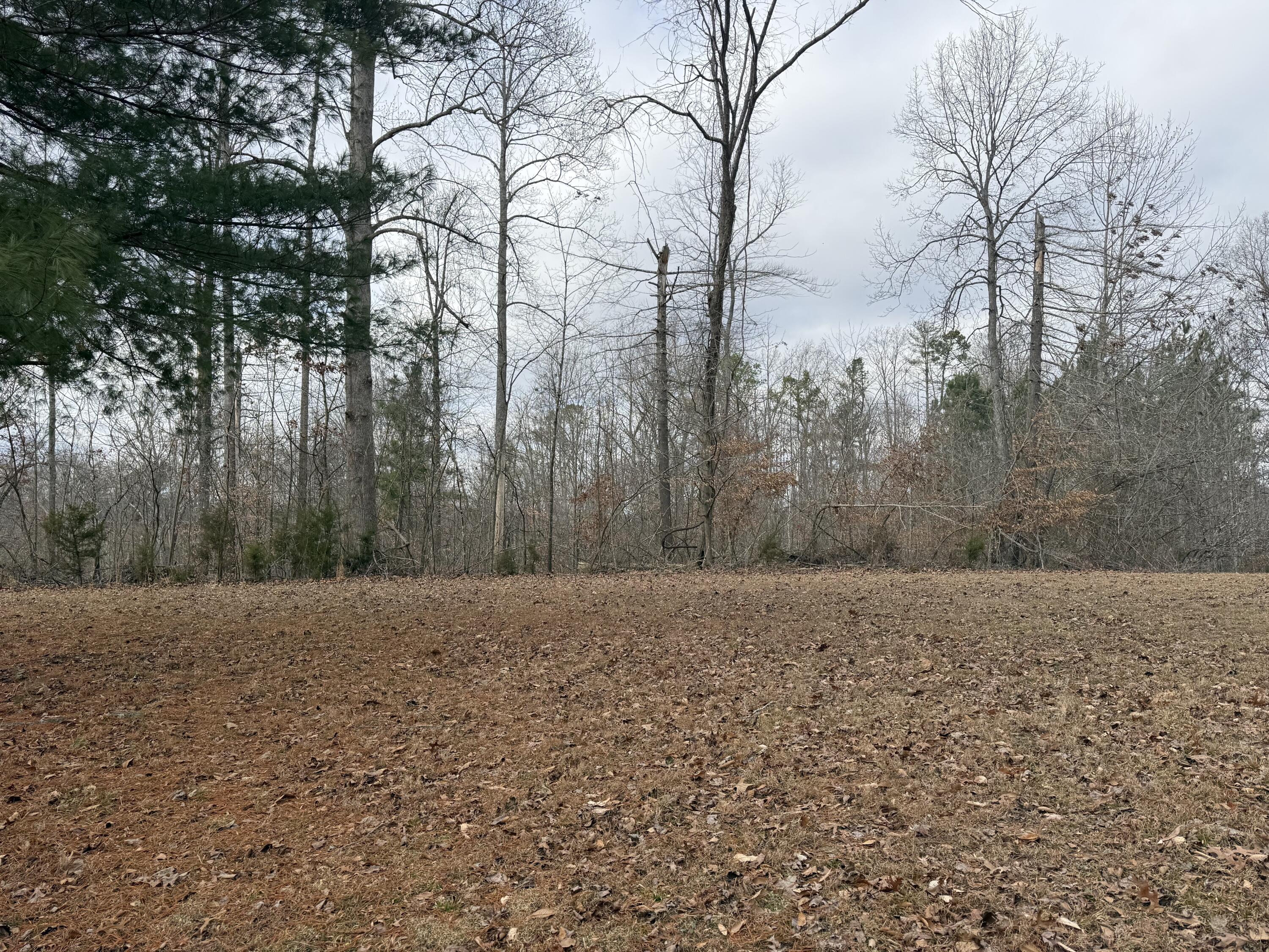 Image 3: IMG_4157