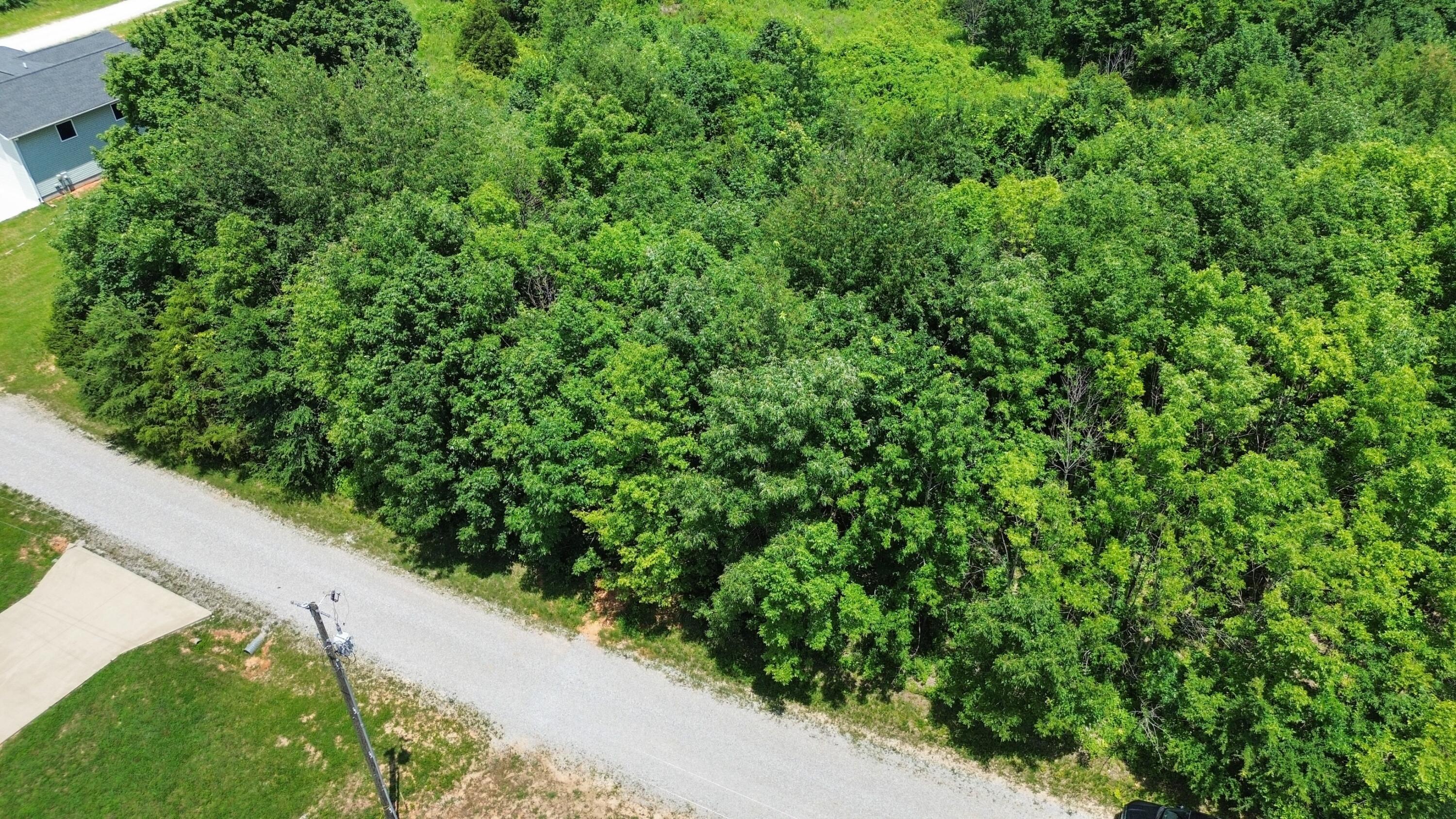 Image 2: DJI_0467