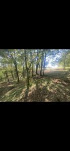 430 Meadow Lake Drive