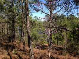 0 MURPHY DAM ROAD