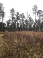 1197 COUNTY ROAD 284