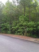 Lot 2A LONG BRANCH Drive