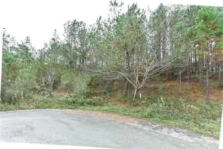 Lot 47 LEE ROAD 2132