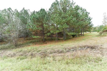 Lot 48 LEE ROAD 2132