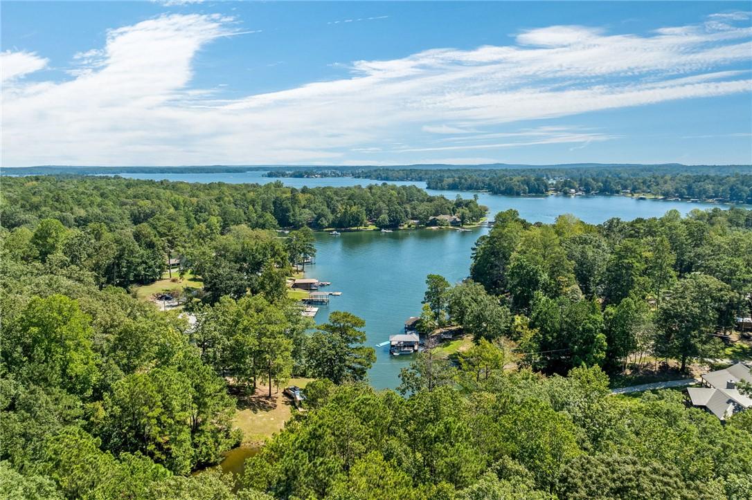 Image 1: An aerial perspective reveals a vibrant lakeside c