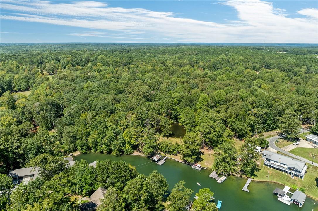 Image 2: An aerial perspective reveals a serene lake commun