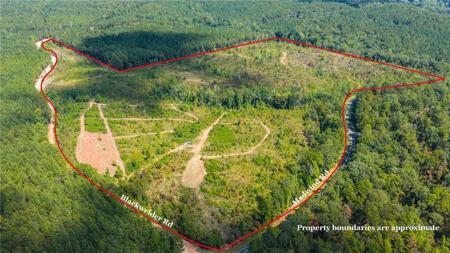 51 +/- ACRES MADWIND Road