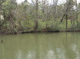 Lot # 38 LEE ROAD 353 N/A