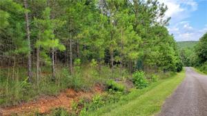 N/A ARROWHEAD Road