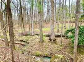 62 LAUREL RIDGE Court