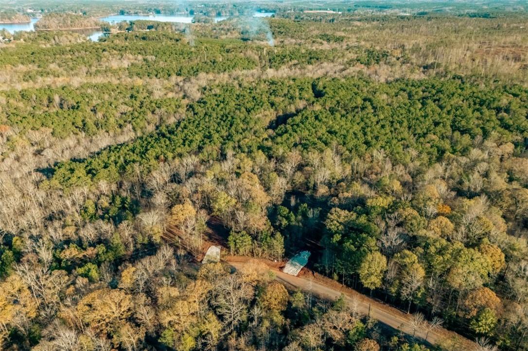 Image 3: An aerial perspective reveals dense, verdant fores