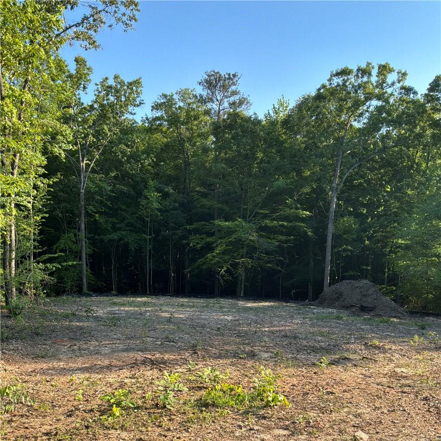 Image 1: This expansive, cleared lot offers a serene settin