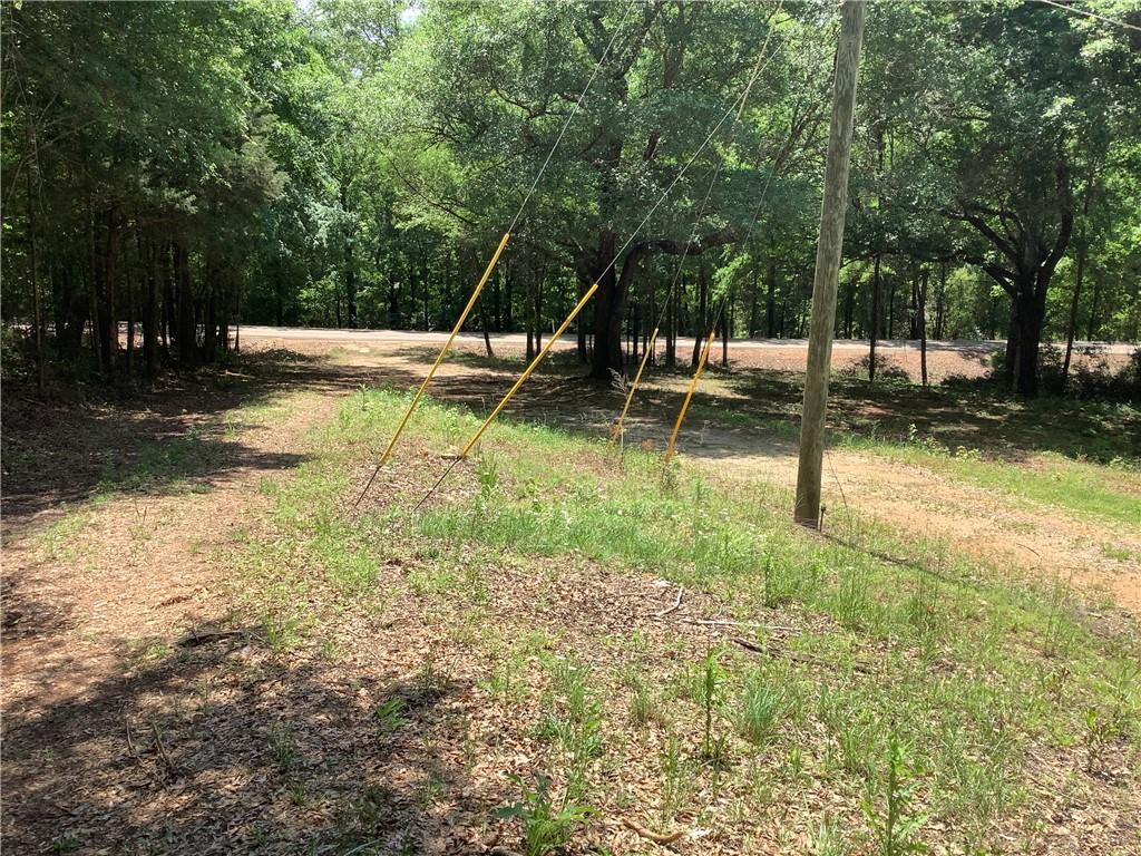 Image 2: A tranquil wooded area offers a private retreat, r