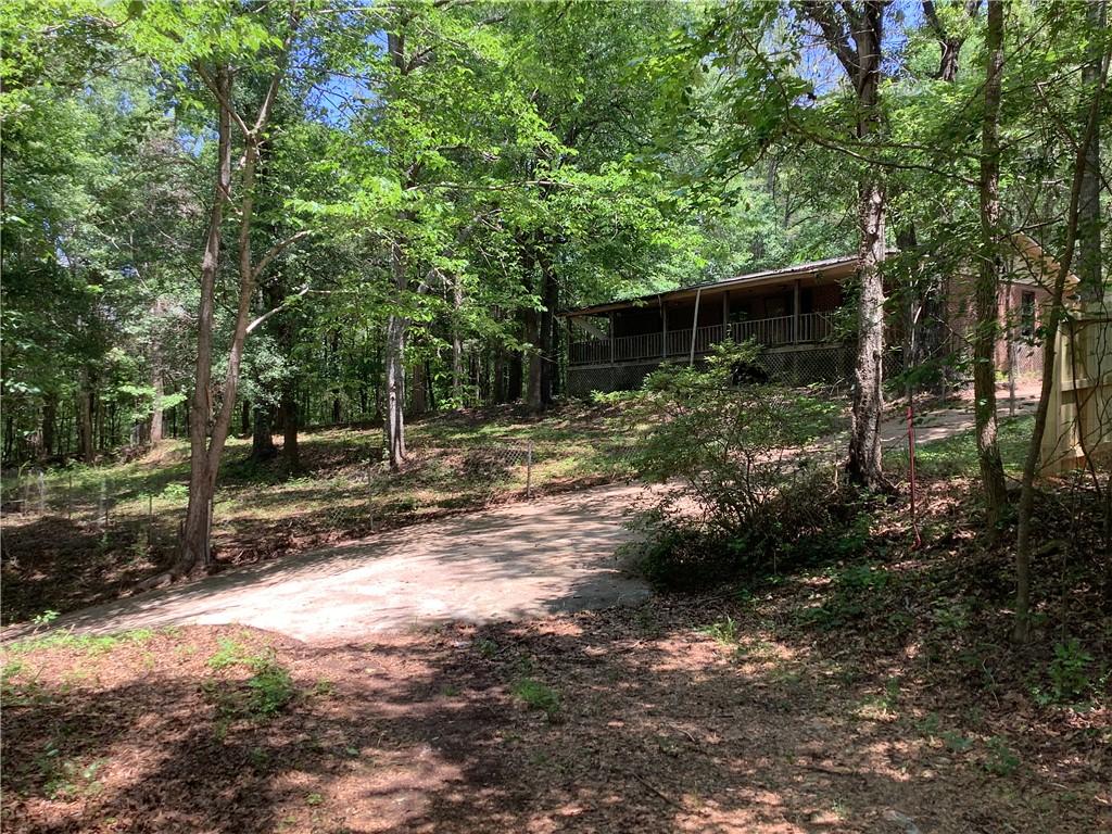 Image 4: A secluded dwelling nestled amongst lush foliage.