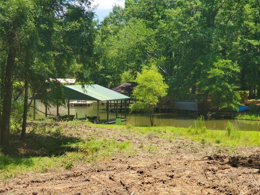 253 LAKE RIDGE Drive, JACKSONS GAP, AL lhrmls01206688