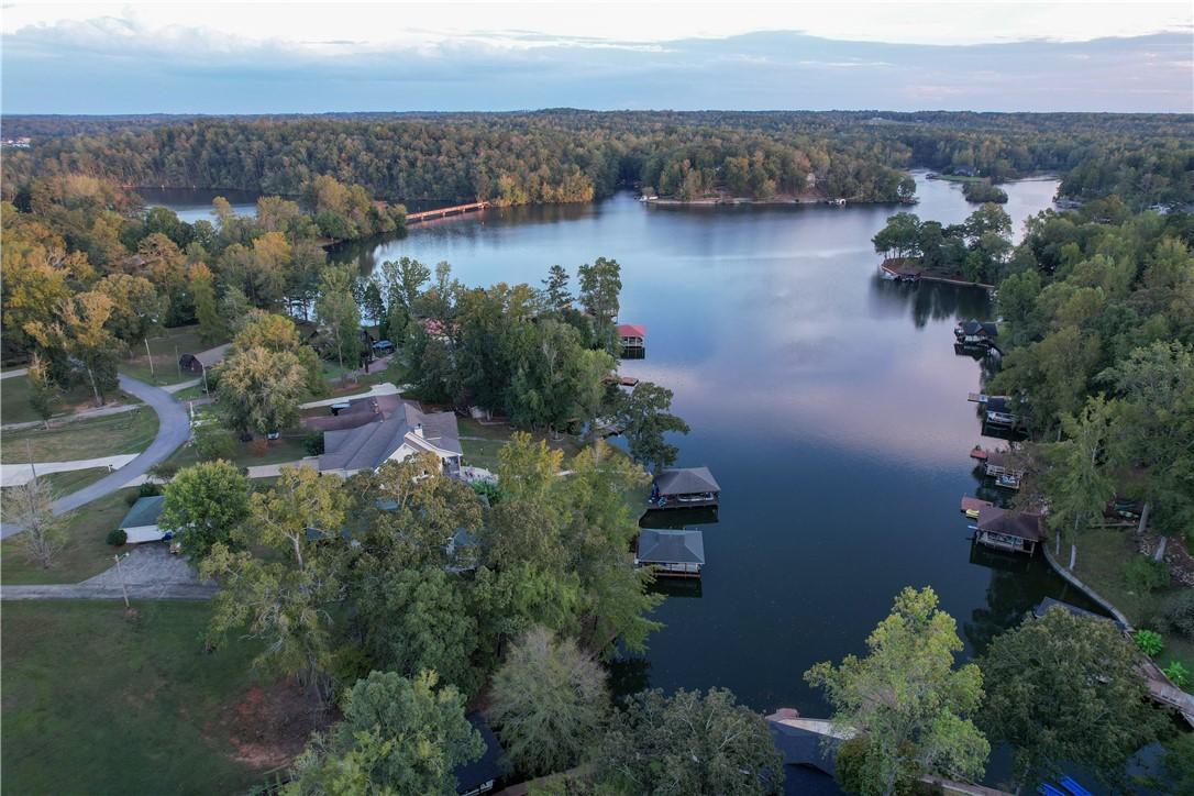 Image 4: Lake Harding