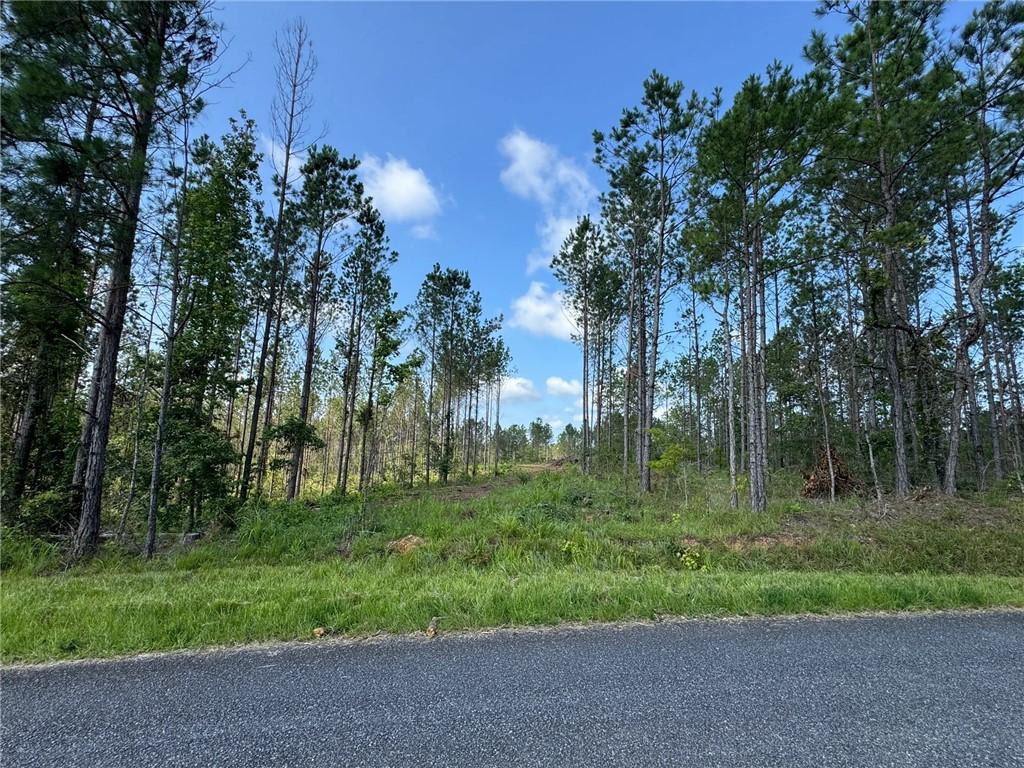 Image 1: Mature pines frame this cleared lot, ready for you