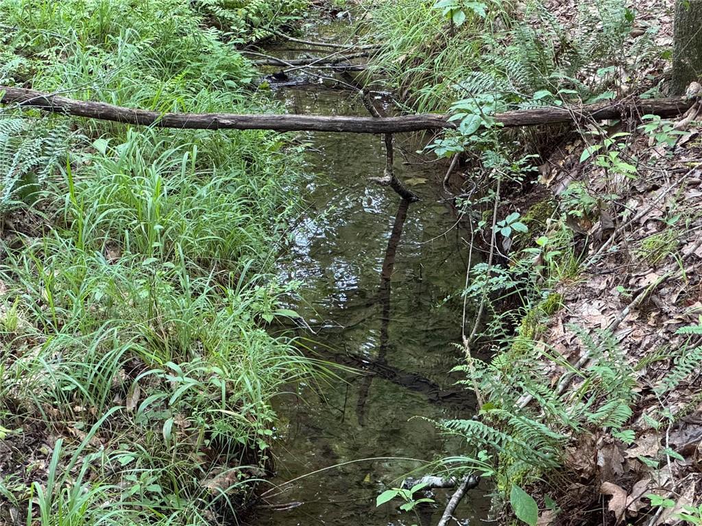 Image 2: A tranquil natural stream meanders through a verda
