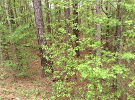 LOT 35 LEE ROAD 965