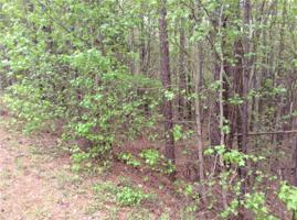 LOT 42 LEE ROAD 965
