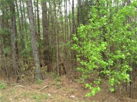 LOT 43 LEE ROAD 965