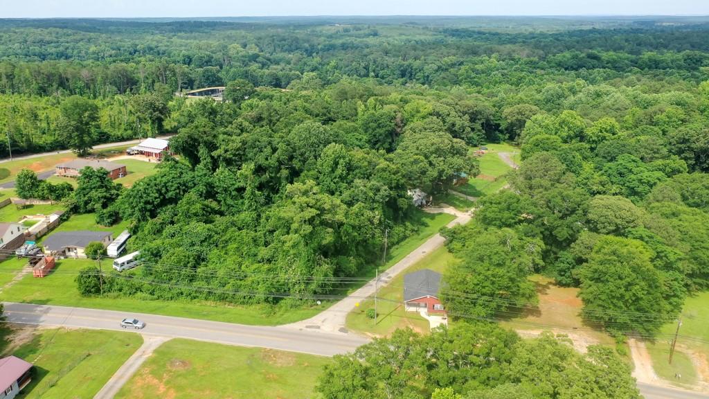 Image 2: An aerial perspective reveals a verdant landscape