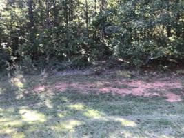 Lot 53 BROADLANDS DRIVE