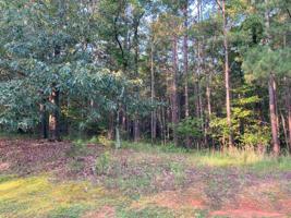 1050 WRAYSWOOD CIRCLE Lot 26