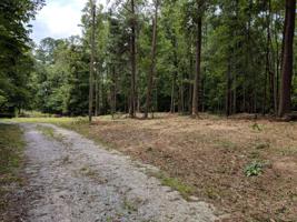 Lot 19-2 NORTH STEEL BRIDGE ROAD