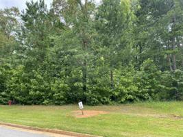 1101 SAILVIEW DRIVE Lot 41