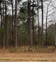 2911 CAREY STATION ROAD Lot 17