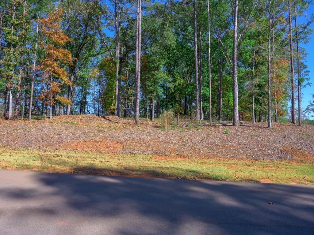 1080 HIGH BLUFF LANE Lot 227, Greensboro, GA lhrmls01505074