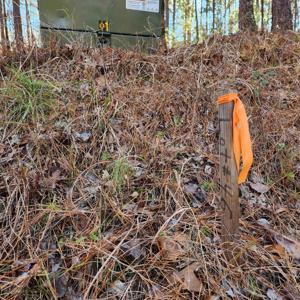 1050 HARDWOOD HOLLOW Lot 46
