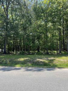 Lot 19B JEFFERSON ROAD
