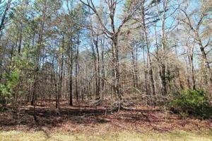 Lot 54 BROADLANDS DRIVE