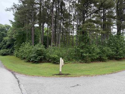 1110 LONG COVE DRIVE