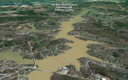 109 BLUE BRANCH COURT Lot 99