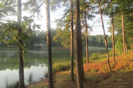 1010 PEARLS COURT Lot 49