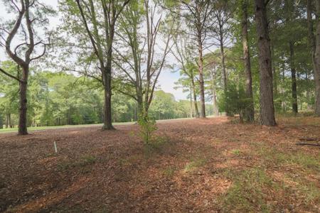 113 BOXWOOD COURT Lot 36