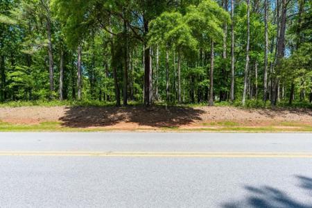 100 ASHLAND COURT Lot 96