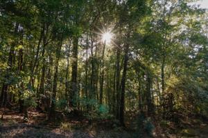 0 E RIVERBEND DRIVE Lot Tract 5