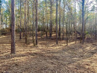 #24 APALACHEE MEADOWS DRIVE