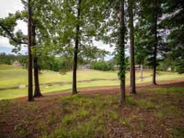 1010 CREEK BLUFF Lot 111