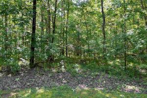 112 FERNBANK LANE Lot 8