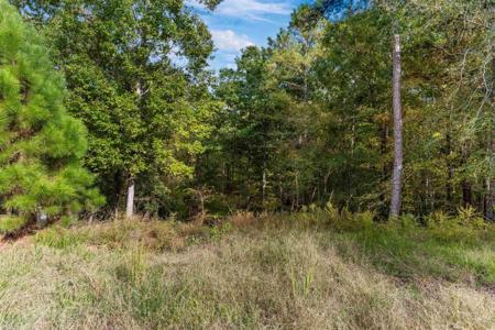 1200 MILL CREEK Lot 21
