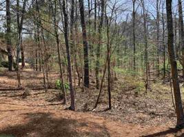 1071 SCULL SHOALS DRIVE Lot 8